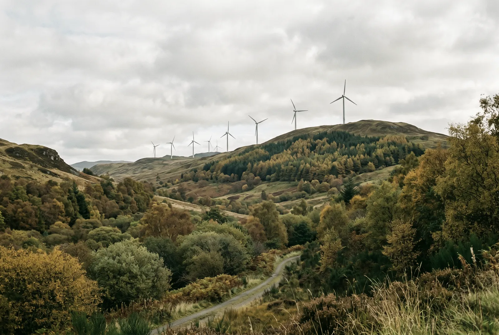 L’actualité sur les marchés de l’énergie – 26/11/2025