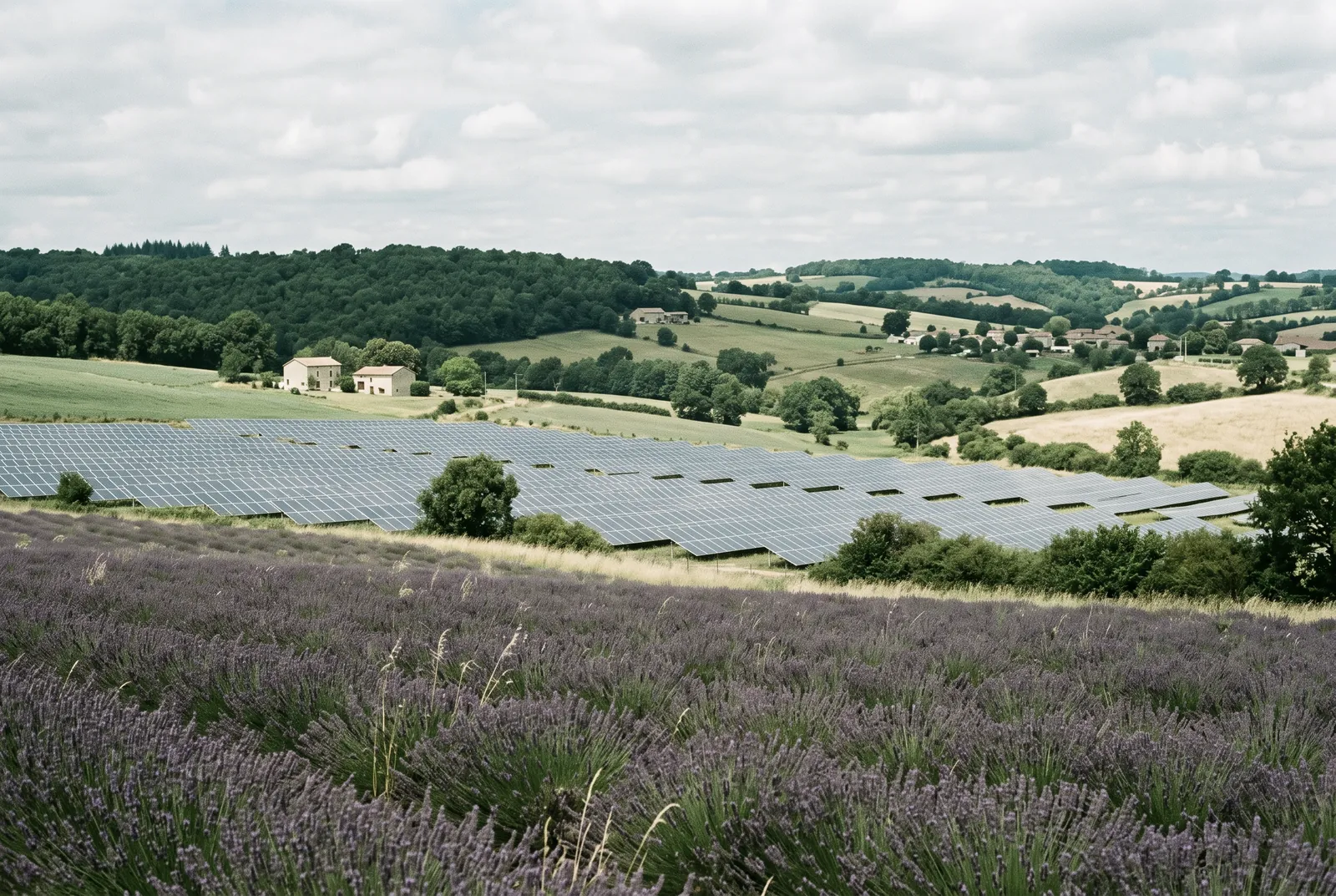 Actualité du marché solaire en France : situation en août 2025