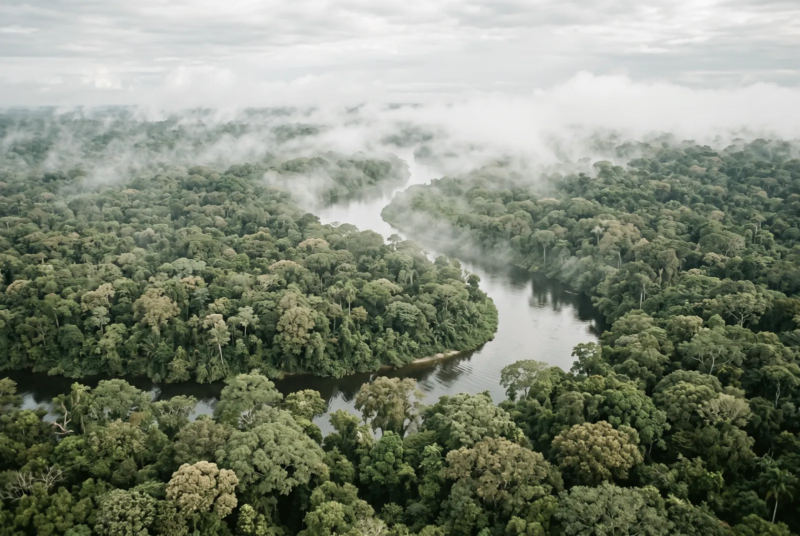 COP30 au Brésil : Un sommet insuffisant face à l’urgence climatique