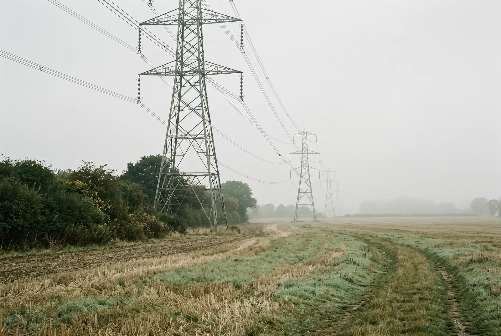 Analyse des Marchés Énergétiques – Panorama Professionnel