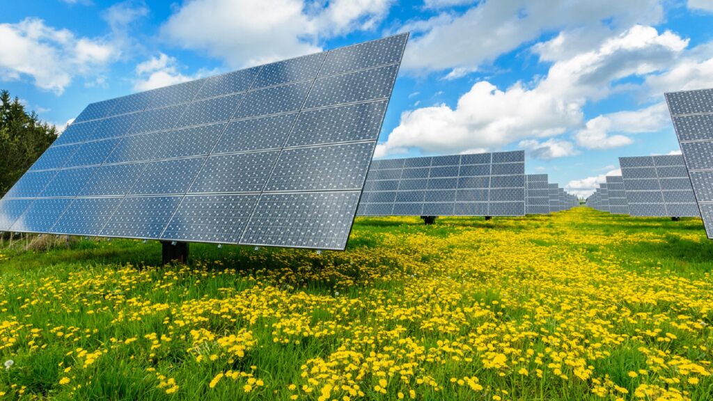 Réglementation énergétique 2025 : ce que les professionnels doivent savoir