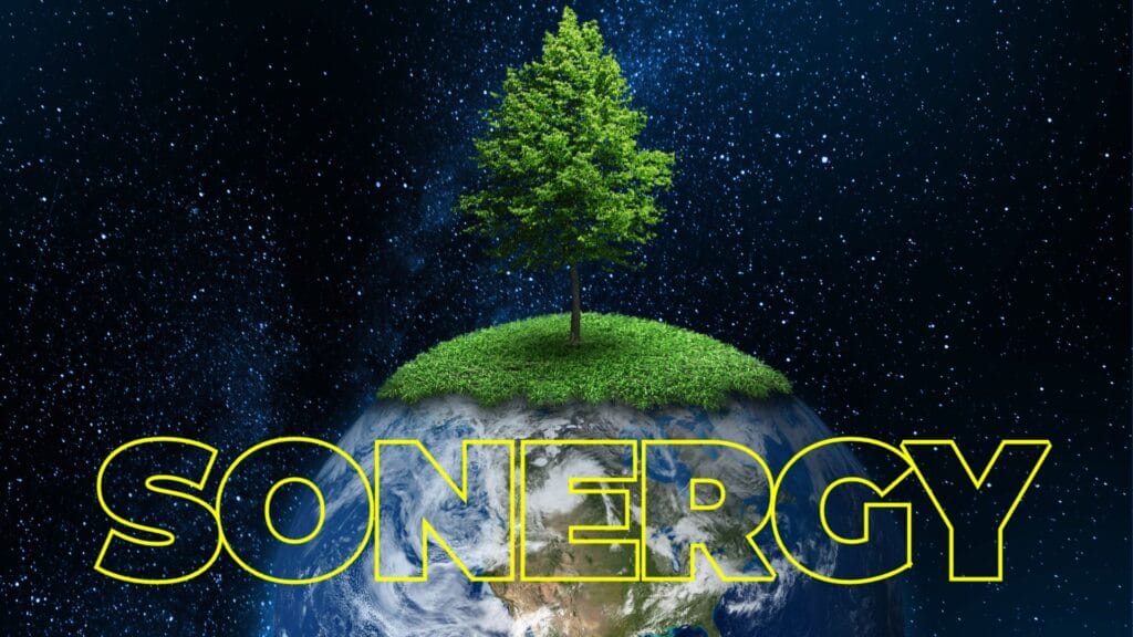 Optimiser votre performance énergétique avec Sonergy