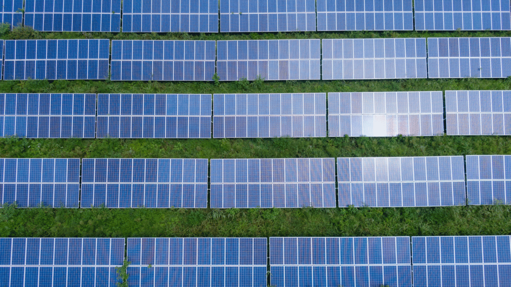 2025 : L’année décisive pour adopter le solaire en entreprise
